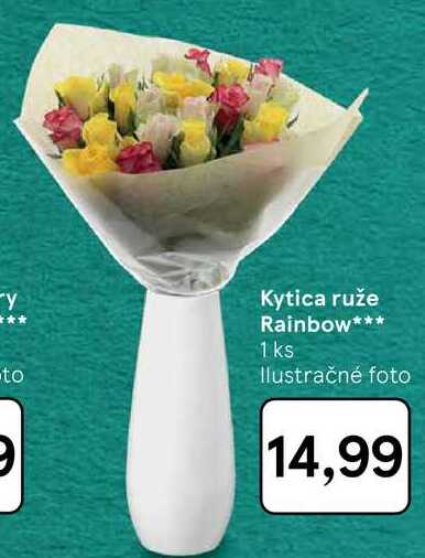 Kytica ruže Rainbow