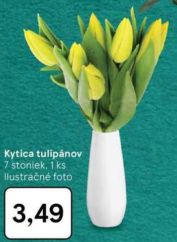 Kytica tulipánov
