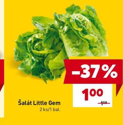 Šalát Little Gem 2 ks