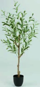 2) UMELÁ RASTLINA HAVHEST