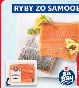 K-Blue Bay Losos