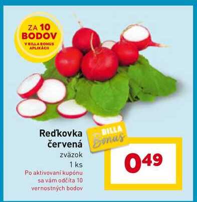 Reďkovka červená zväzok 1 ks 