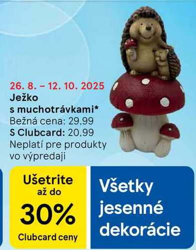 Ježko s muchotrávkami