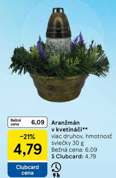 Aranžmán v kvetináči