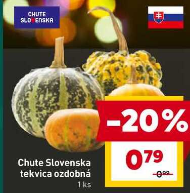 Chute Slovenska tekvica ozdobná 1 ks 