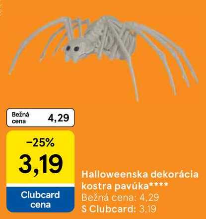 Halloweenska dekorácia kostra pavúka