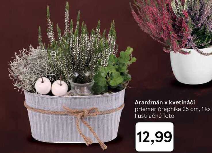 Aranžmán v kvetináči 