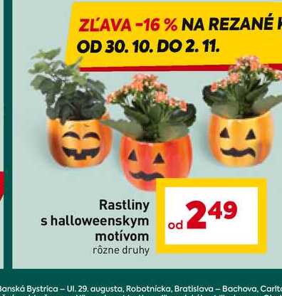 Rastliny s halloweenskym motívom rôzne druhy