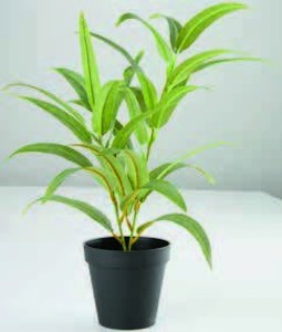 Umelá rastlina LARSSON