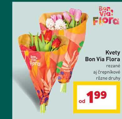 Bon Via Flora rezané aj črepníkové rôzne druhy 