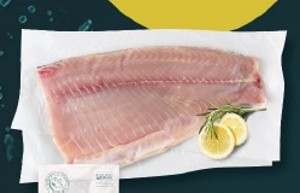 Kapor rybničný Filet