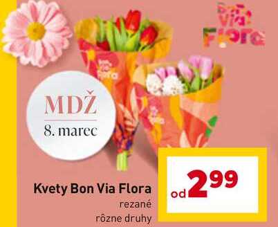 Kvety Bon Via Flora rezané rôzne druhy 