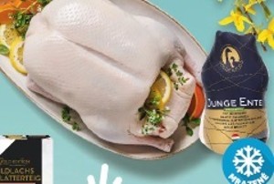 Goldenfood / Dunagut Kačica