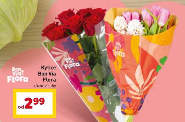 Kytice Bon Via Flora rôzne druhy 