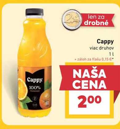 Cappy viac druhov 1l PET