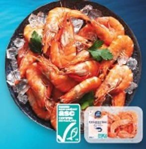 K-Blue Bay Krevety