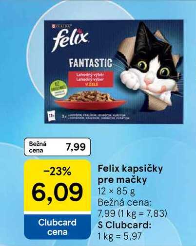 Felix kapsičky re mačky 12 × 85 g 