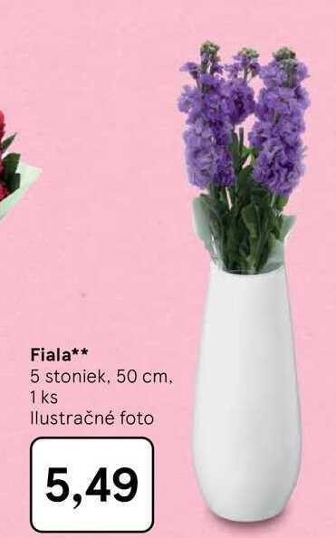 Fiala 5 stoniek, 50 cm, 1 ks  
