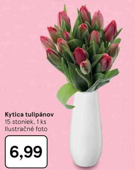 Kytica tulipánov 15 stoniek, 1 ks 