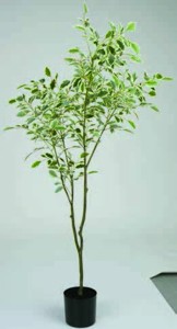 Umelá rastlina GUNNULF