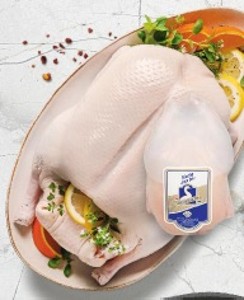 Kačka s drobami