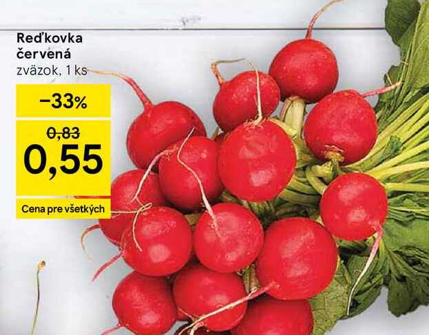Reďkovka červená zväzok, 1 ks 