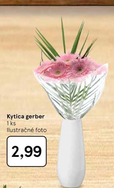 Kytica gerber 1 ks