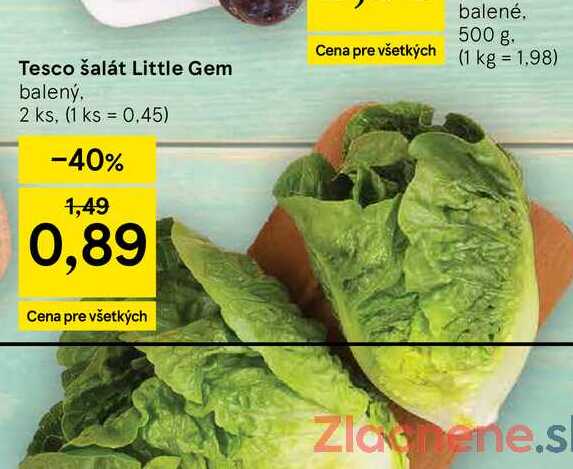 Tesco šalát Little Gem balený 2 ks