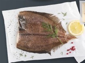 Fjord Platesa