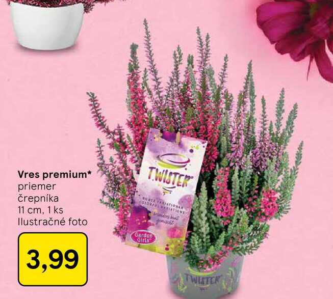 Vres premium priemer črepníka 11 cm, 1 ks