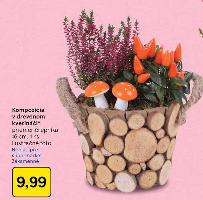 Kompozícia v drevenom kvetináči priemer črepníka 16 cm, 1 ks 