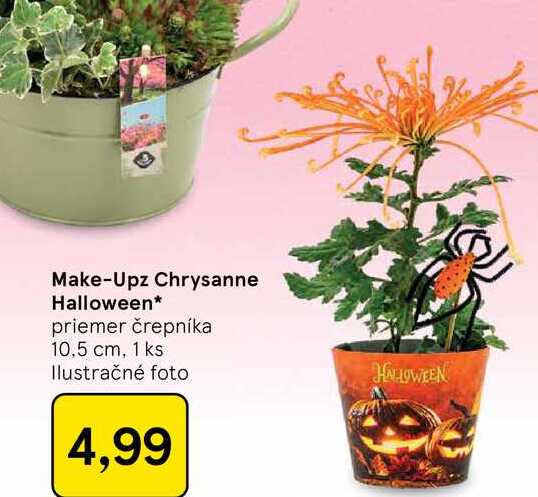 Make-Upz Chrysanne Halloween priemer črepníka 10,5 cm, 1 ks